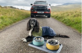 Isuzu D-Max partners with Ruffwear, 2025, dog in front of D-Max 